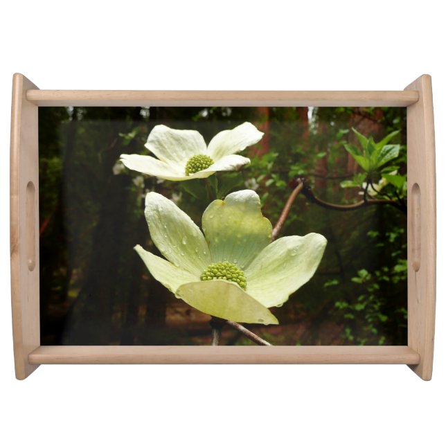 Dogwoods and Redwoods in Yosemite National Park Serving Tray (Front)