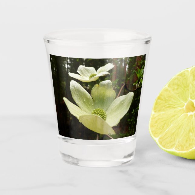 Dogwoods and Redwoods in Yosemite National Park Shot Glass (Front)