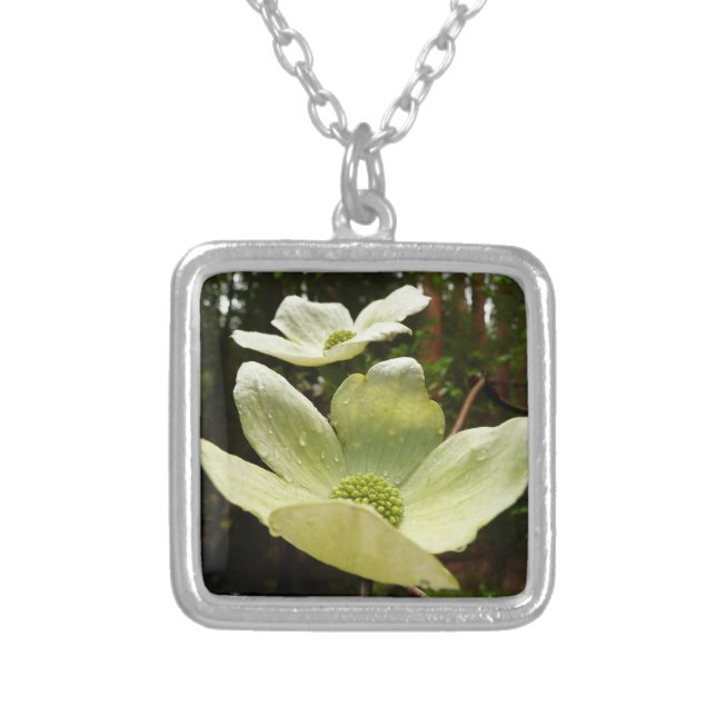 Dogwoods and Redwoods in Yosemite National Park Silver Plated Necklace (Front)