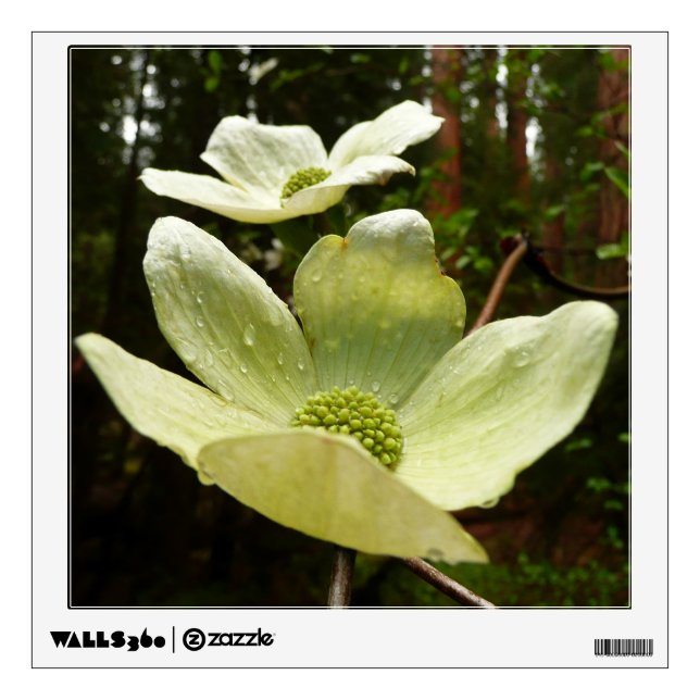Dogwoods and Redwoods in Yosemite National Park Wall Decal (Front)