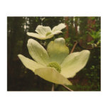 Dogwoods and Redwoods in Yosemite National Park Wood Wall Art