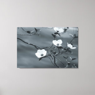 Dogwoods Canvas Print