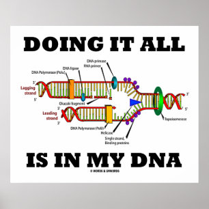 Doing It All Is In My DNA (DNA Replication) Poster