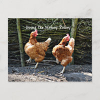 Doing the Hokey Pokey, The Hokey Pokey Chickens