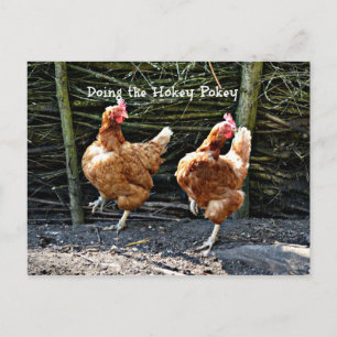 Doing the Hokey Pokey, The Hokey Pokey Chickens Postcard
