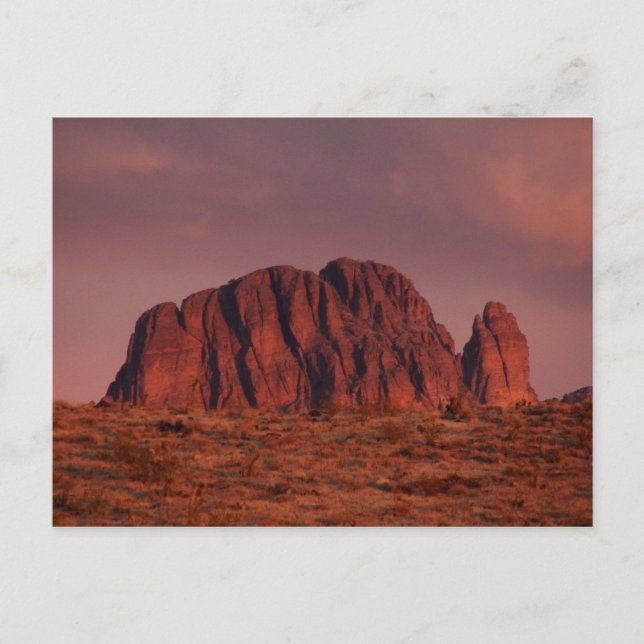 Dolan Springs, Arizona Postcard (Front)