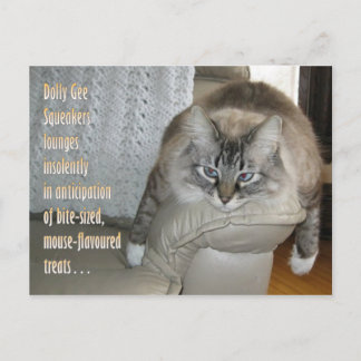 Dolly Gee Squeakers (TM) Postcard 1