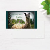 Dolly Llama Busininess Cards (Desk)