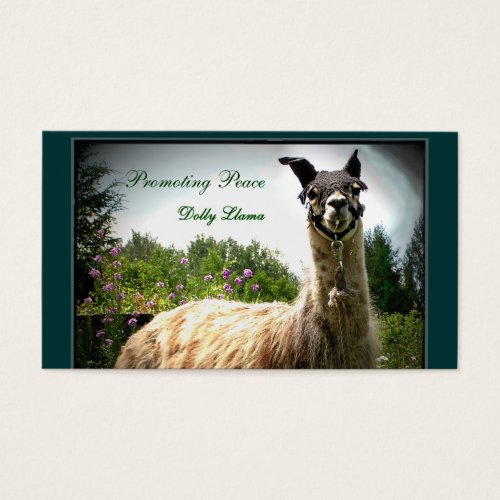 Dolly Llama Busininess Cards Business Card Templates