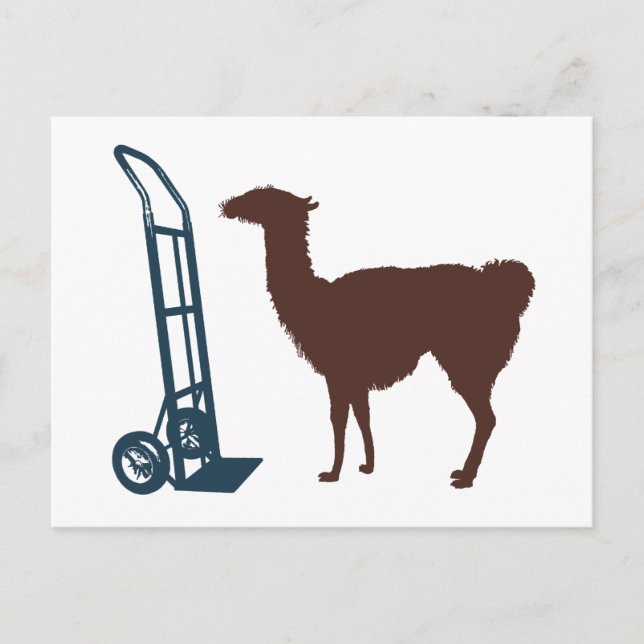 Dolly llama postcard (Front)