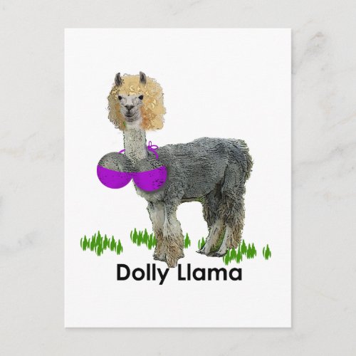 Dolly Llama Postcard