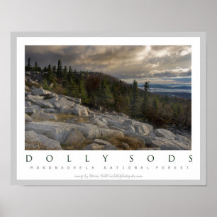 Dolly Sods Wilderness Area West Virginia Poster
