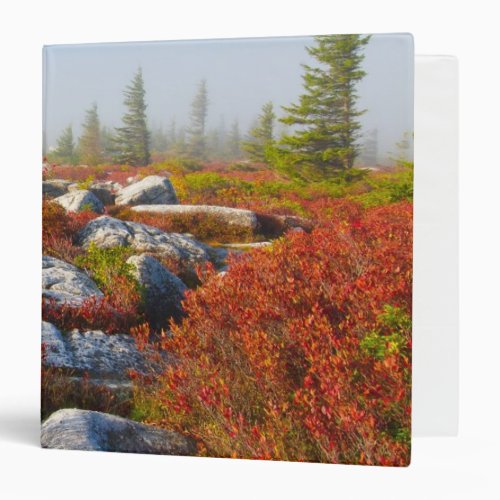 Dolly Sods Wilderness Fall Scenic With Fog Binder