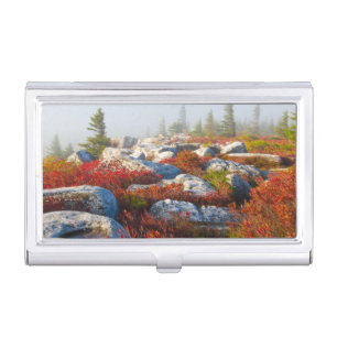 Dolly Sods Wilderness Fall Scenic With Fog Business Card Holder