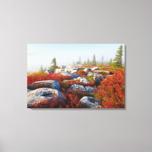 Dolly Sods Wilderness Fall Scenic With Fog Canvas Print