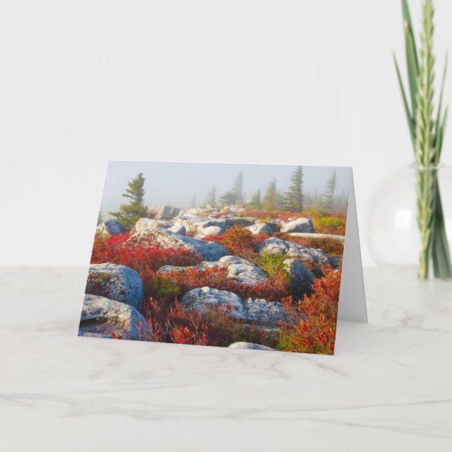 Dolly Sods Wilderness Fall Scenic With Fog Card (Front)