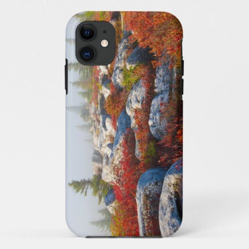 Dolly Sods Wilderness Fall Scenic With Fog iPhone 11 Case