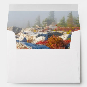 Dolly Sods Wilderness Fall Scenic With Fog Envelope