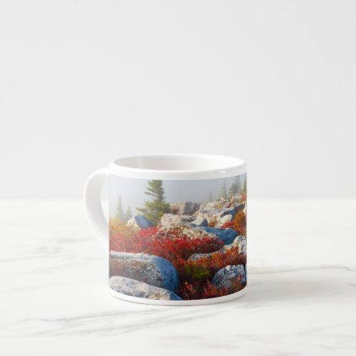 Dolly Sods Wilderness Fall Scenic With Fog Espresso Cup