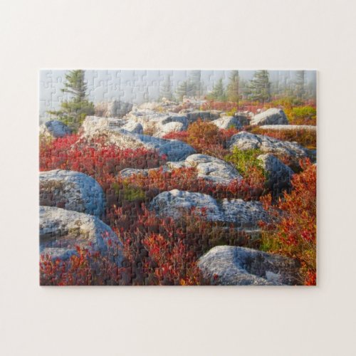 Dolly Sods Wilderness Fall Scenic With Fog Jigsaw Puzzle