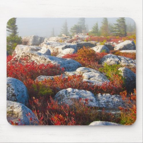 Dolly Sods Wilderness Fall Scenic With Fog Mouse Pad