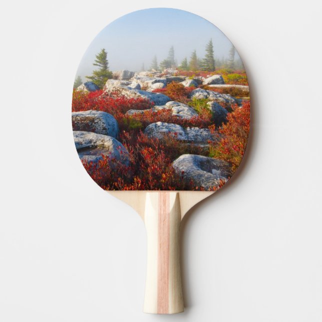 Dolly Sods Wilderness Fall Scenic With Fog Ping-Pong Paddle (Front)