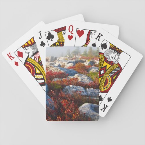 Dolly Sods Wilderness Fall Scenic With Fog Poker Cards