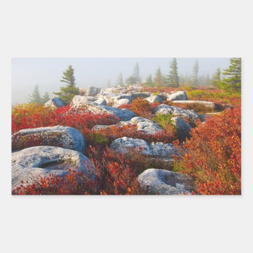 Dolly Sods Wilderness Fall Scenic With Fog Rectangular Sticker