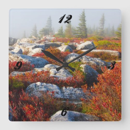 Dolly Sods Wilderness Fall Scenic With Fog Square Wall Clock