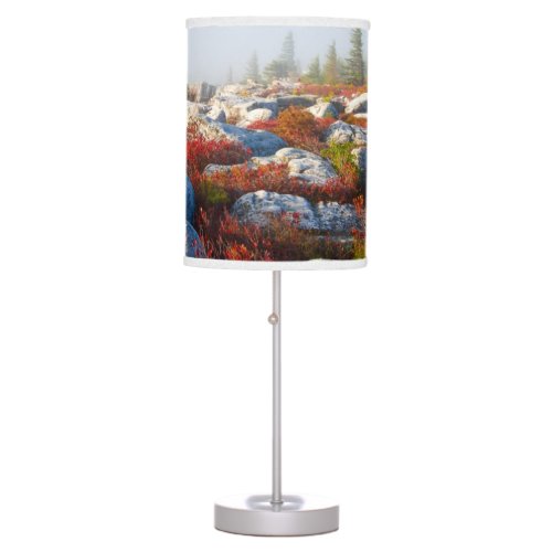 Dolly Sods Wilderness Fall Scenic With Fog Table Lamp