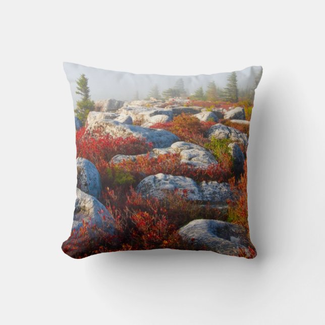 Dolly Sods Wilderness Fall Scenic With Fog Throw Pillow (Front)
