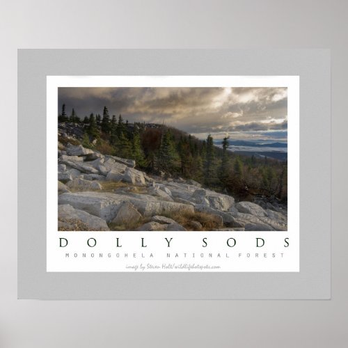 Dolly Sods Wilderness in West Virginia Poster