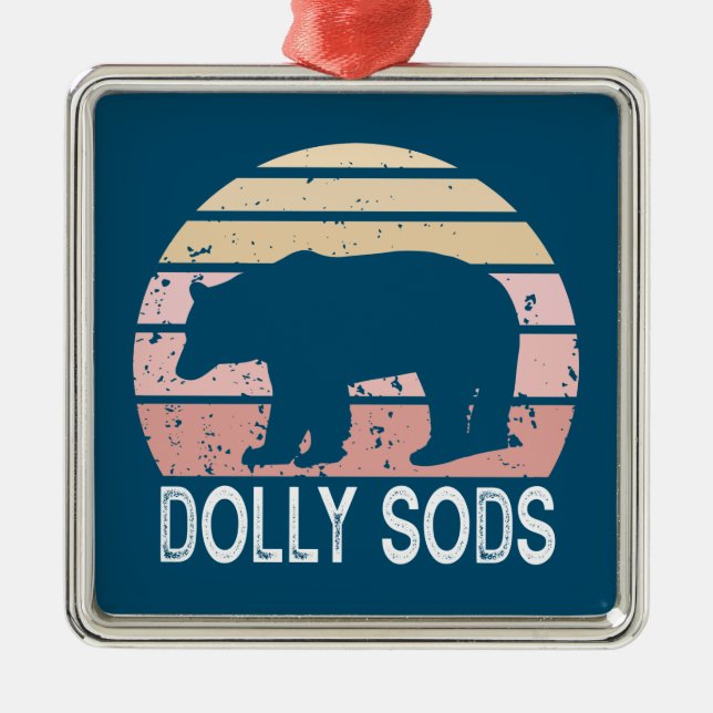 Dolly Sods Wilderness Retro Bear Metal Ornament (Front)