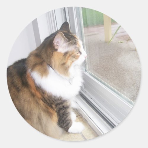 Dolly the Cat Looking out Window Stickers