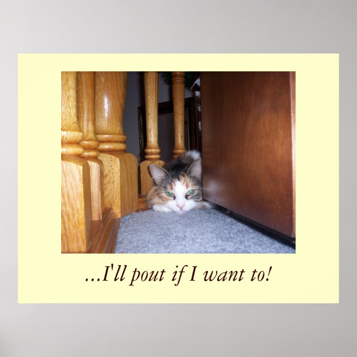 Dolly  the Cat Pouting Poster