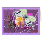 Dolly with butterfly (Front Horizontal)