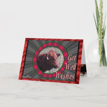 Dollygetwell—customize Card by MakaraPhotos at Zazzle