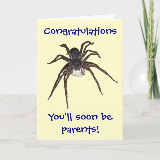 Dolomedes Congratulations Expectant Parents Card (Front)