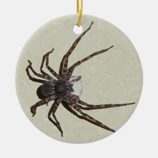 Dolomedes Mommy Spider Christmas Ornament (Front)