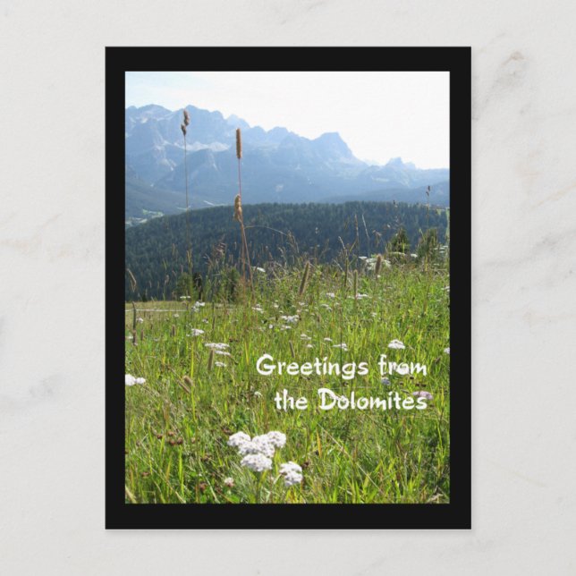 Dolomites Postcard (Front)
