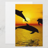 dolphin (Front/Back)