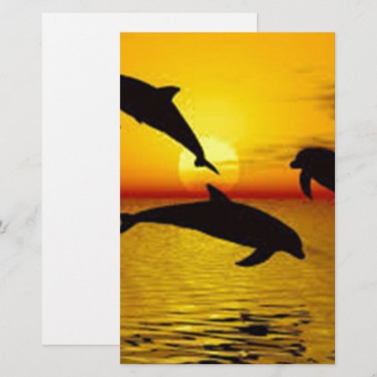 dolphin (Front/Back)