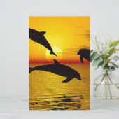 dolphin (Standing Front)