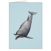 Dolphin (Front)