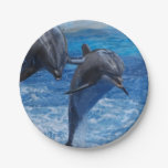 dolphin-104.jpg paper plates