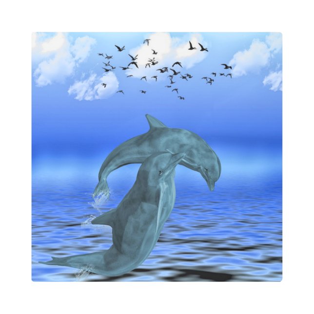 Dolphin 16"x 16" Metal Wall Art (Front)