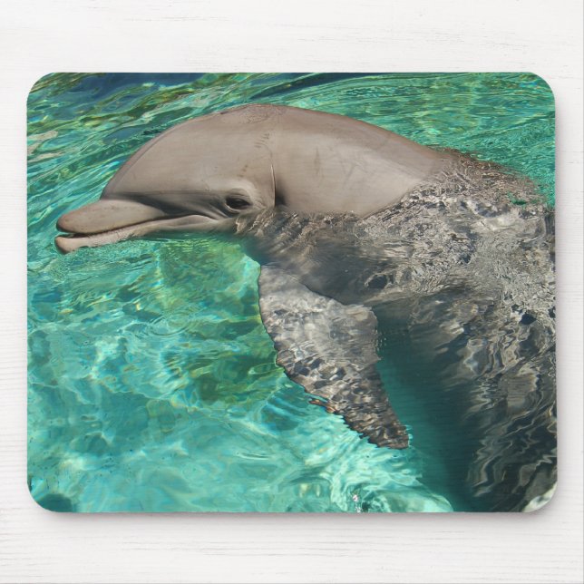 Dolphin 2 mouse pad (Front)