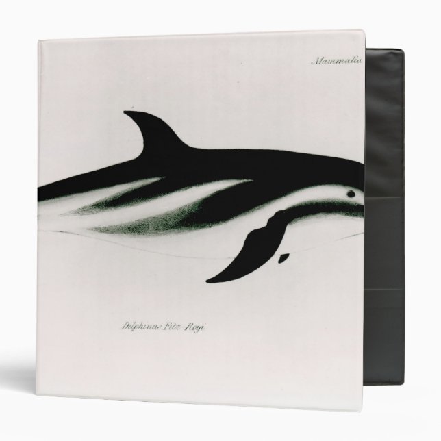 Dolphin 3 Ring Binder (Front/Inside)