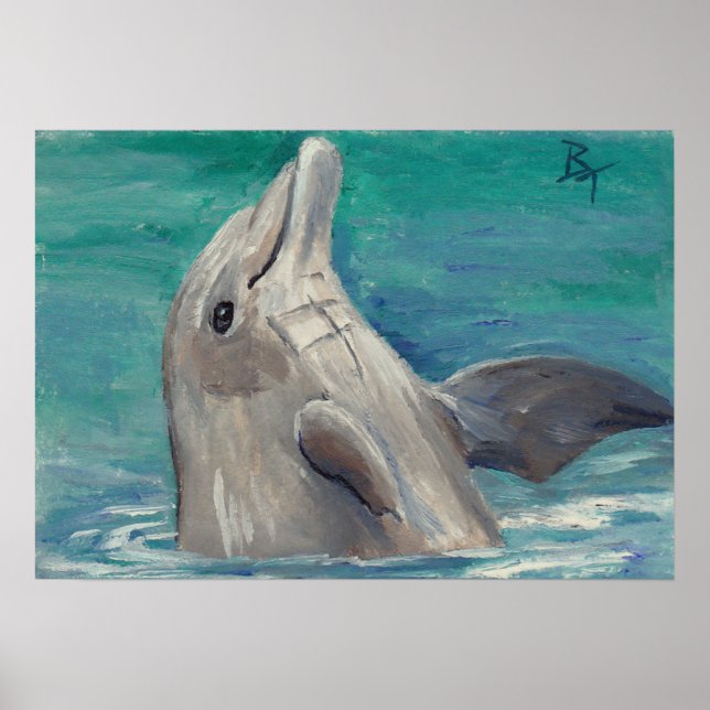 Dolphin aceo Poster Print (Front)