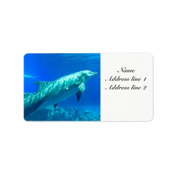 Dolphin Address Labels by KEW_Sunsets_and_More at Zazzle
